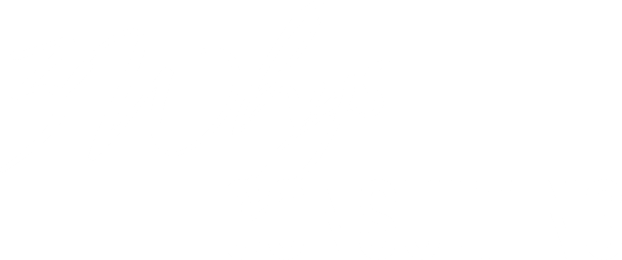 3 Whys CONSULTING